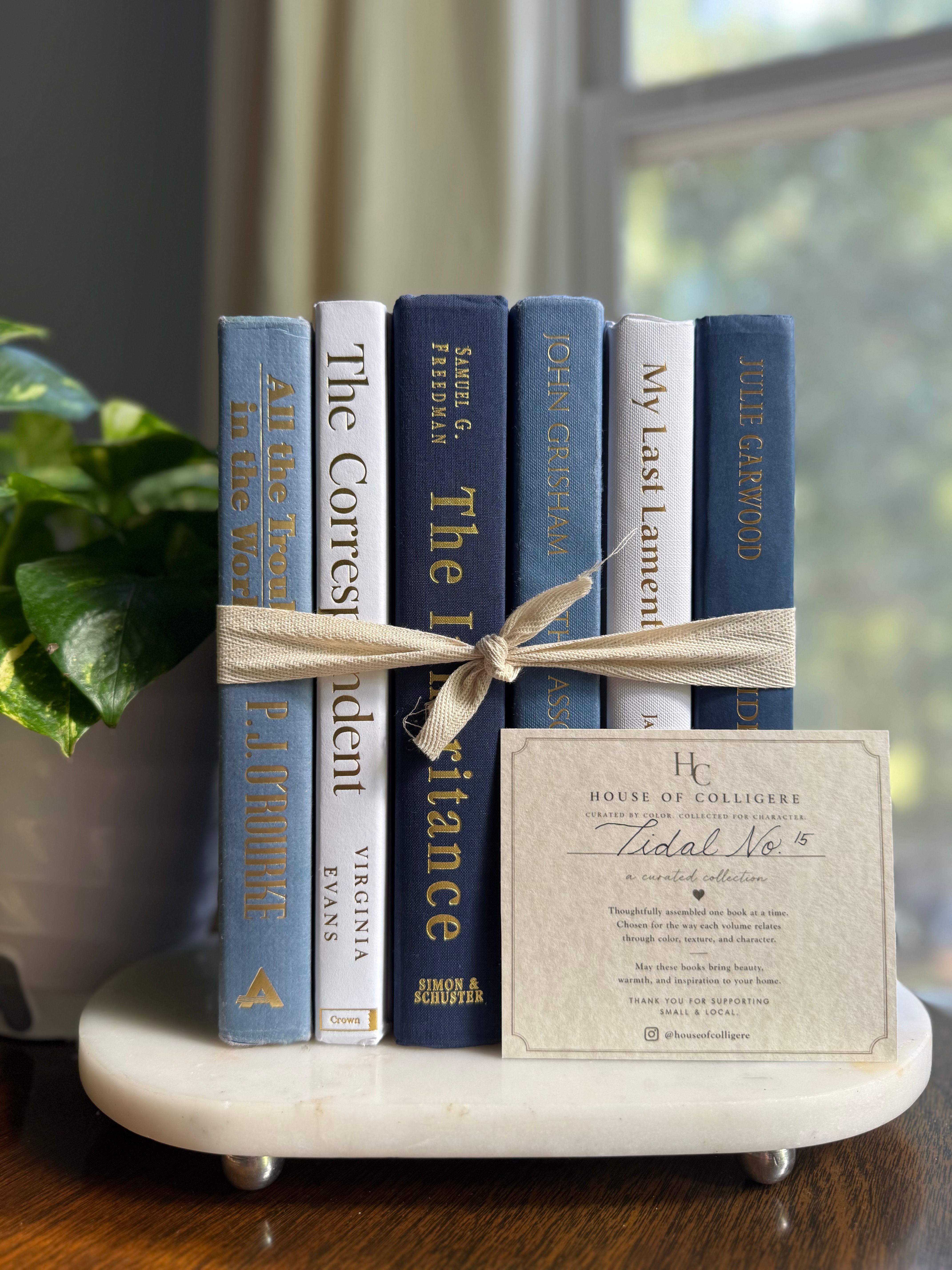 Curated collection of layered blue books ranging from pale coastal blue to deeper ocean tones.
