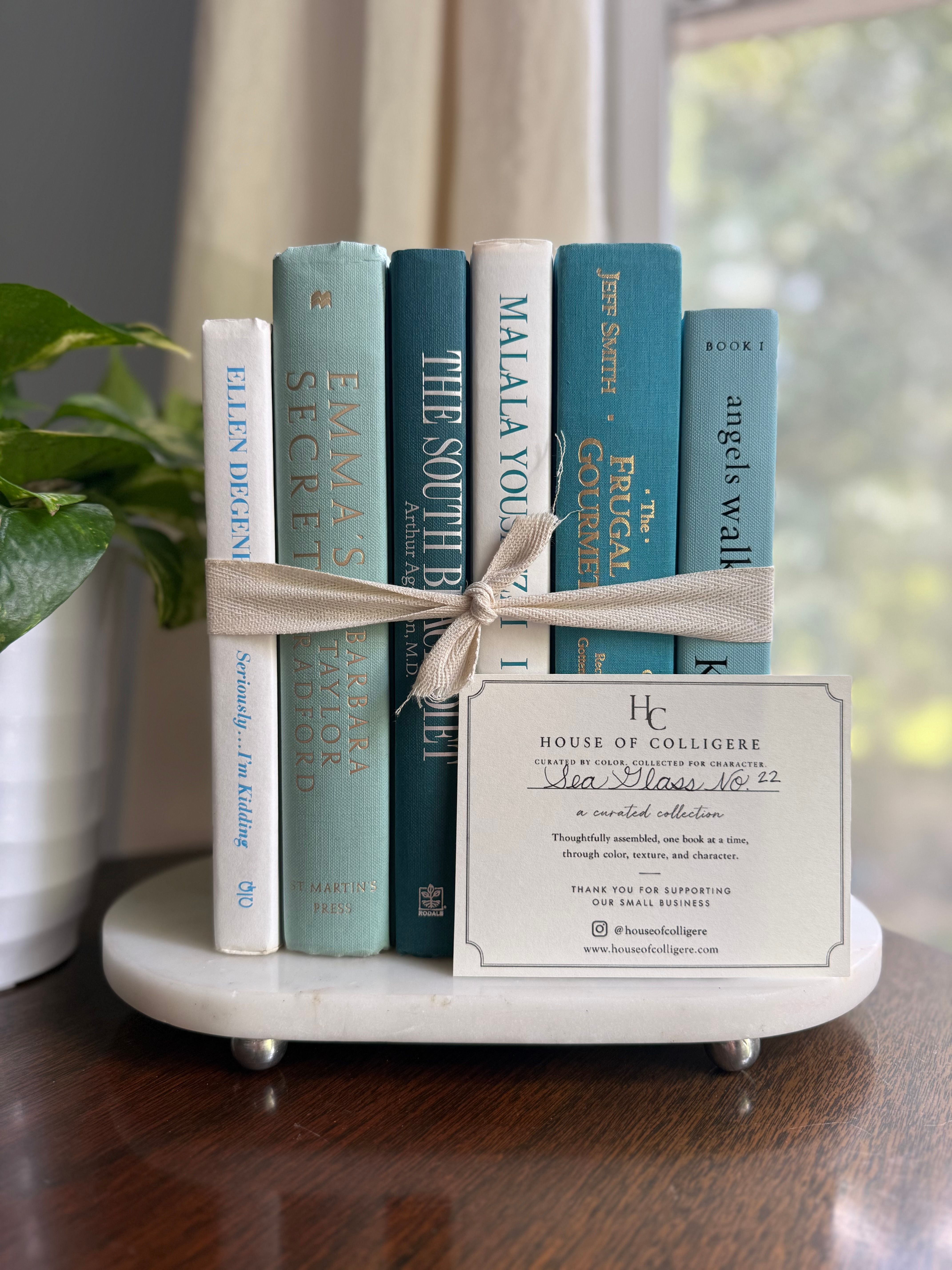 Curated collection of soft blue, aqua, seafoam, and muted coastal-toned books.