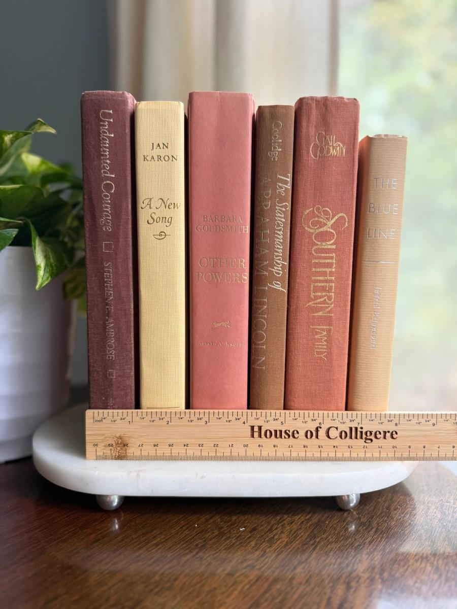 Curated collection of dusty rose, plum, warm brown, taupe, and muted berry-toned books with soft vintage character.