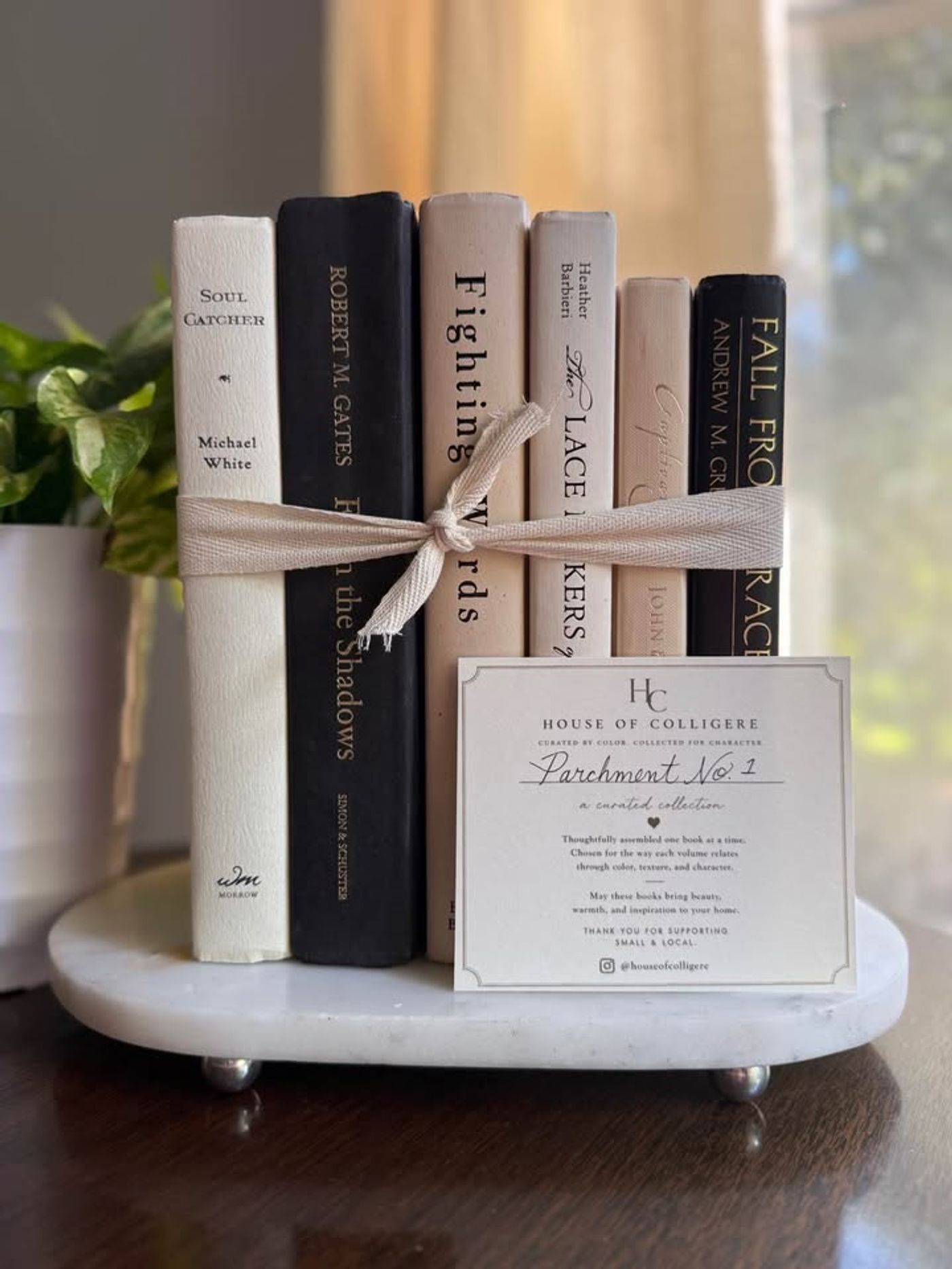 Curated collection of parchment, cream, warm beige, and black books with soft neutral contrast and classic detailing.