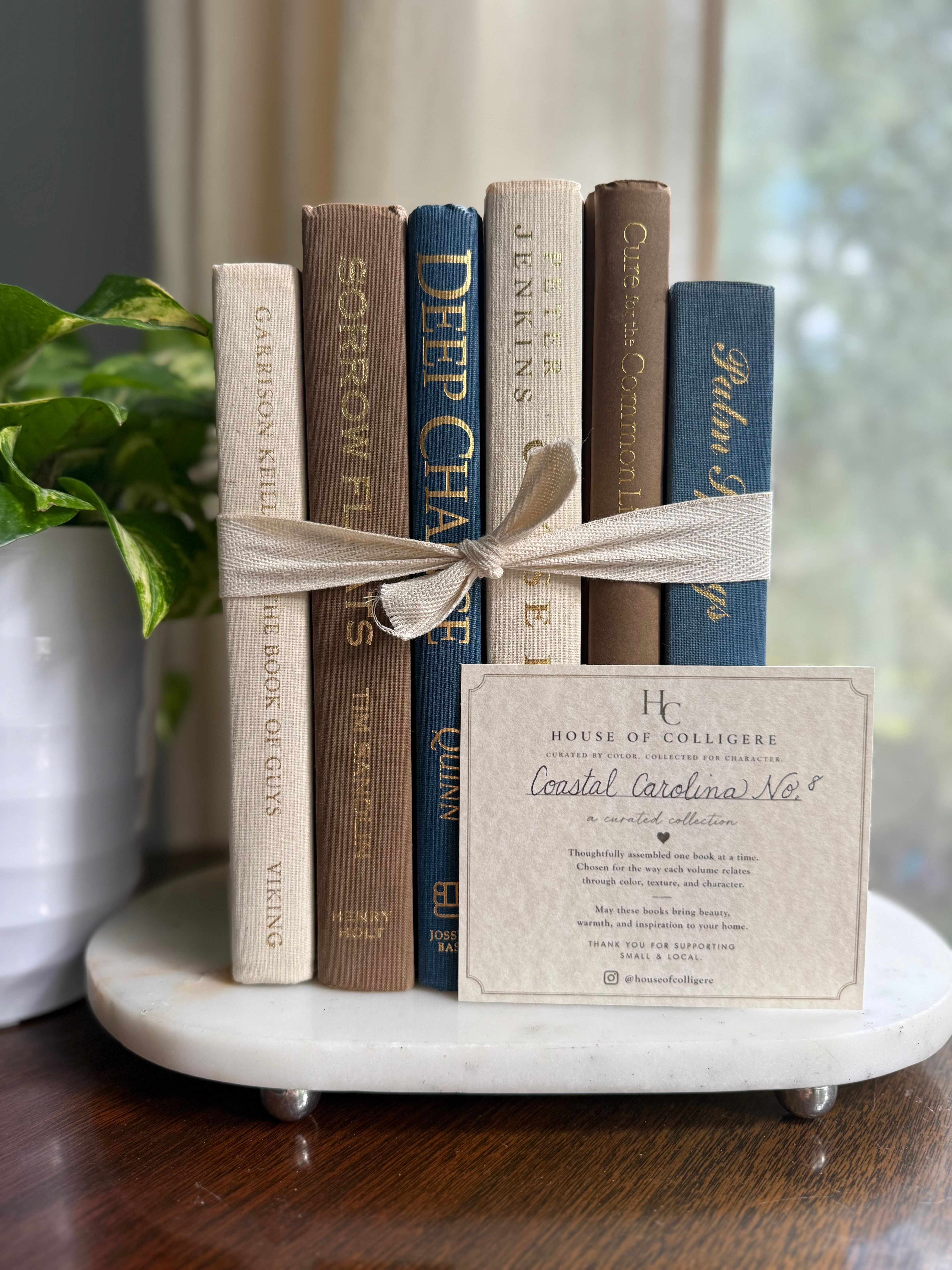 Curated collection of weathered blue, oyster, sand, linen, and driftwood-toned books with soft coastal character.