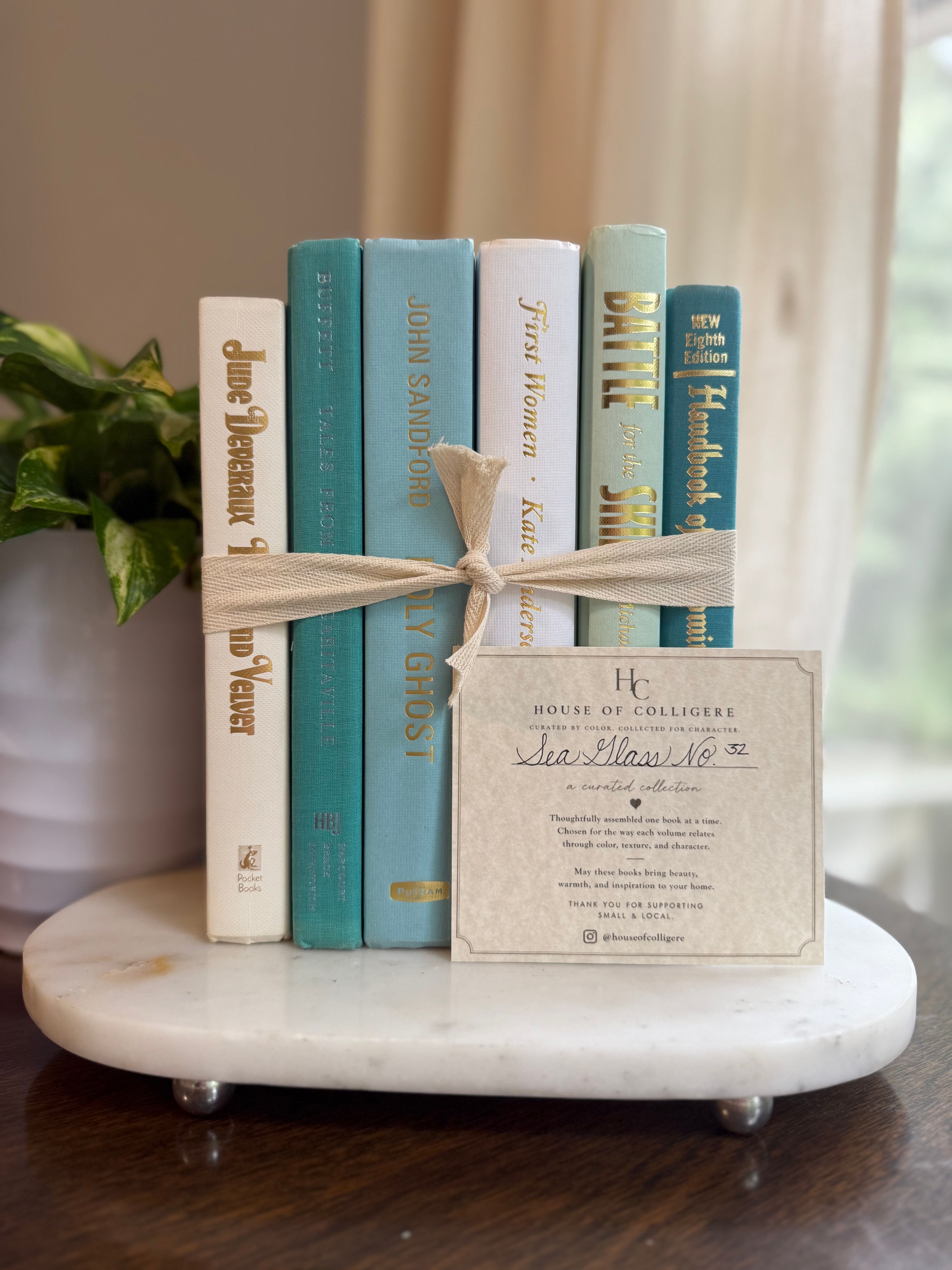 Curated collection of soft blue, aqua, seafoam, and muted coastal-toned books.