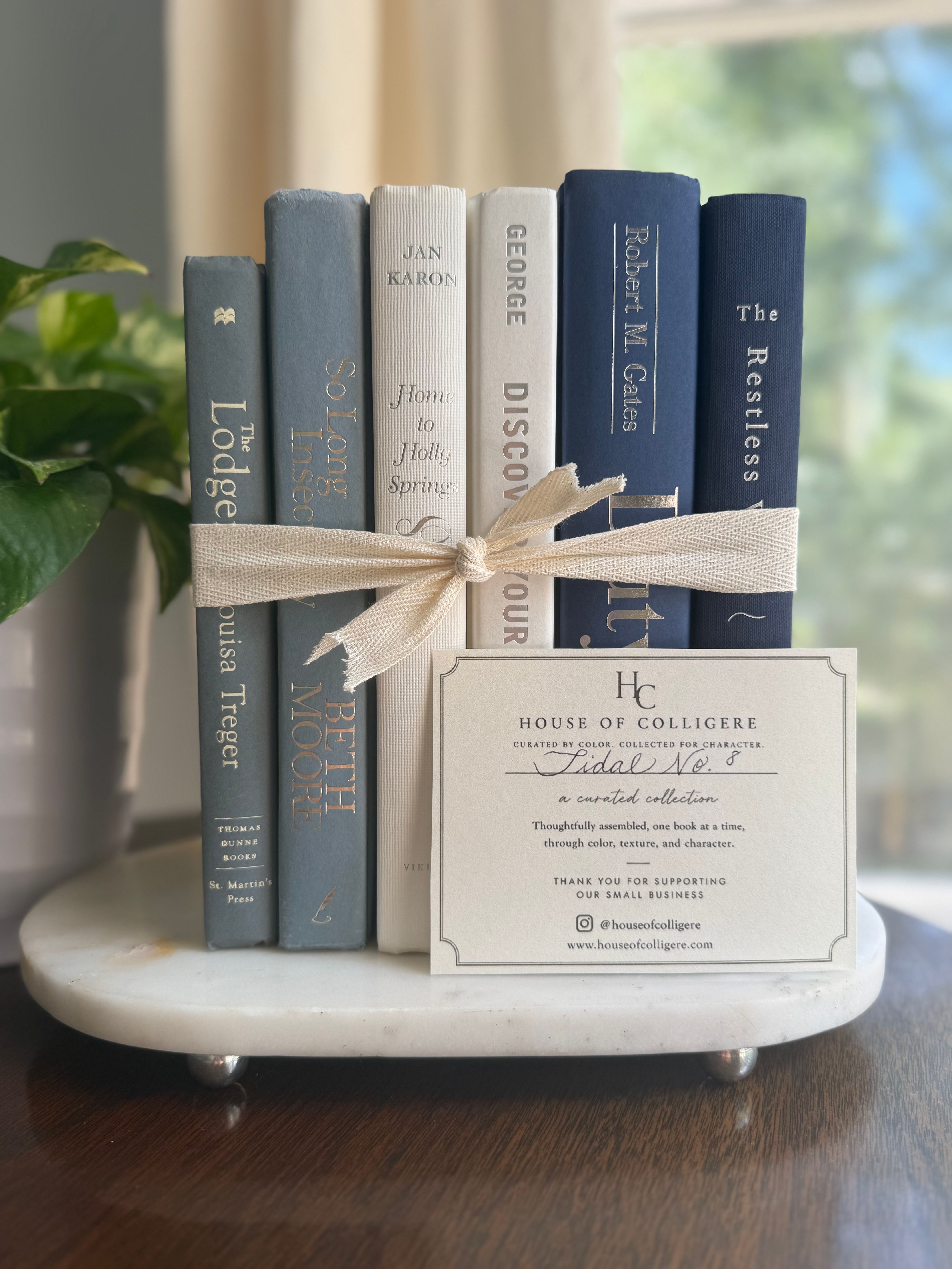 Curated collection of layered blue books ranging from pale coastal blue to deeper ocean tones.
