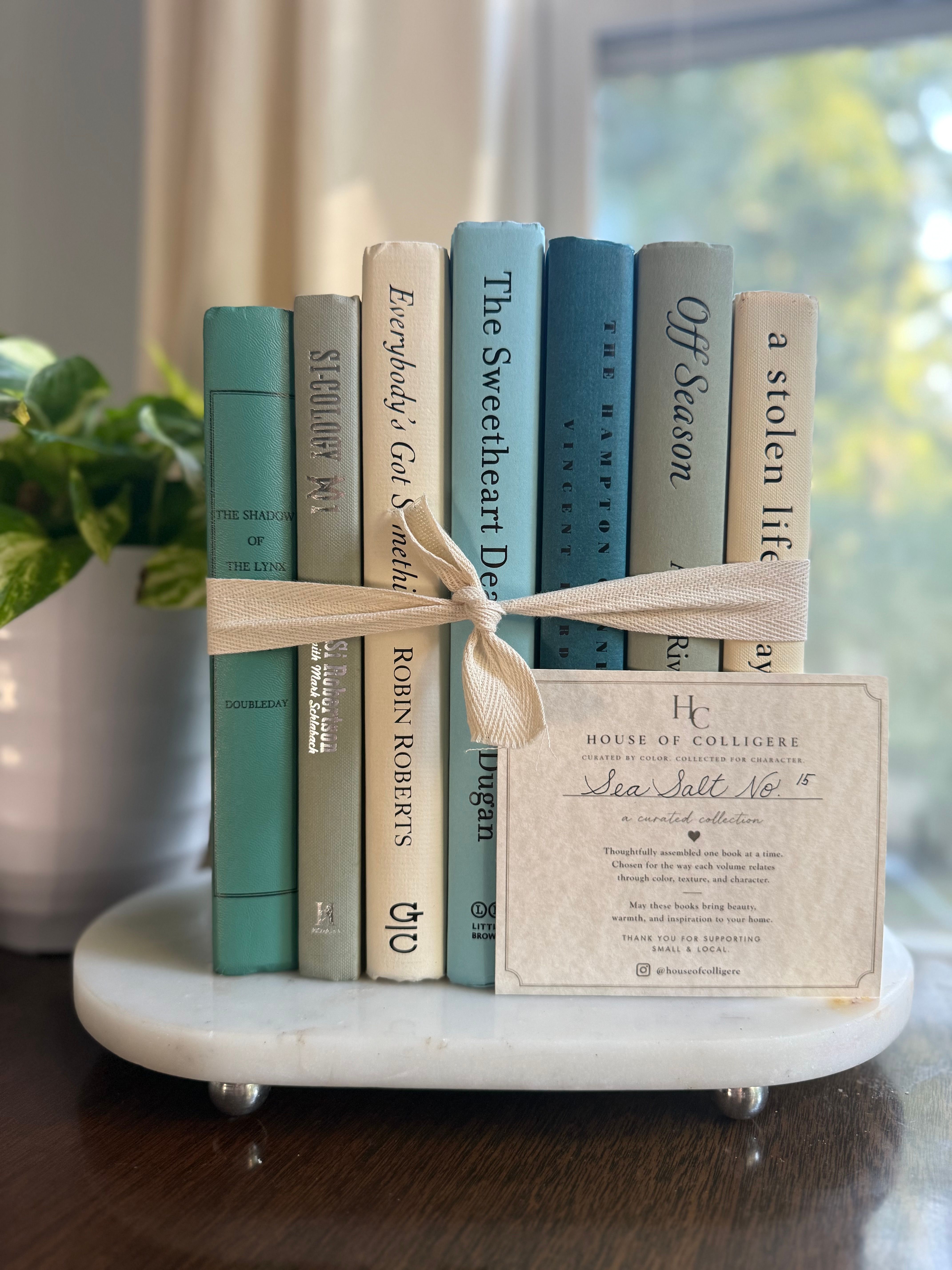 Curated collection of white, pale blue, sand, and soft coastal-neutral books with an airy, sun-faded look.