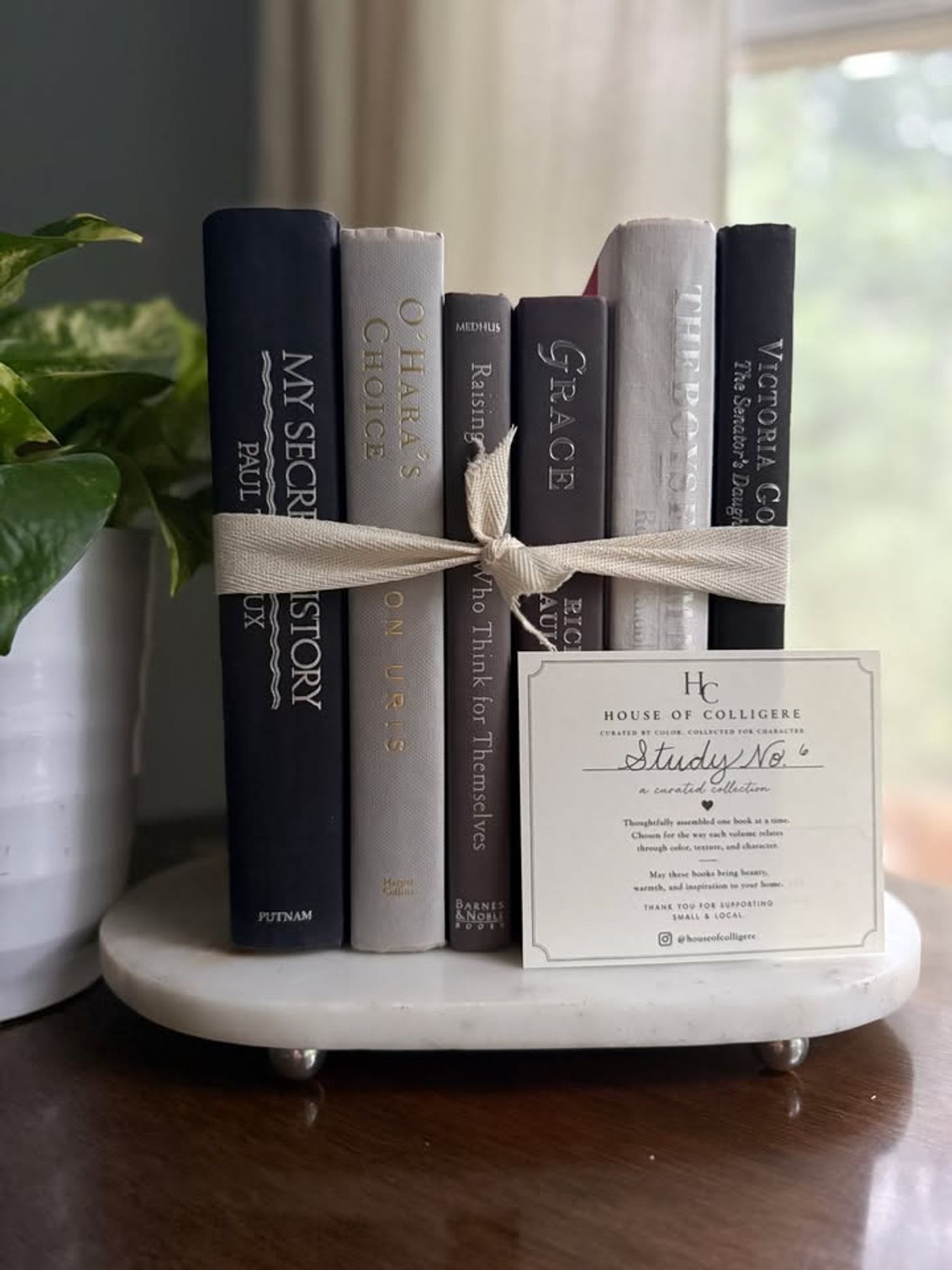 Curated collection of warm brown, olive, tan, and aged neutral books with a traditional library palette.