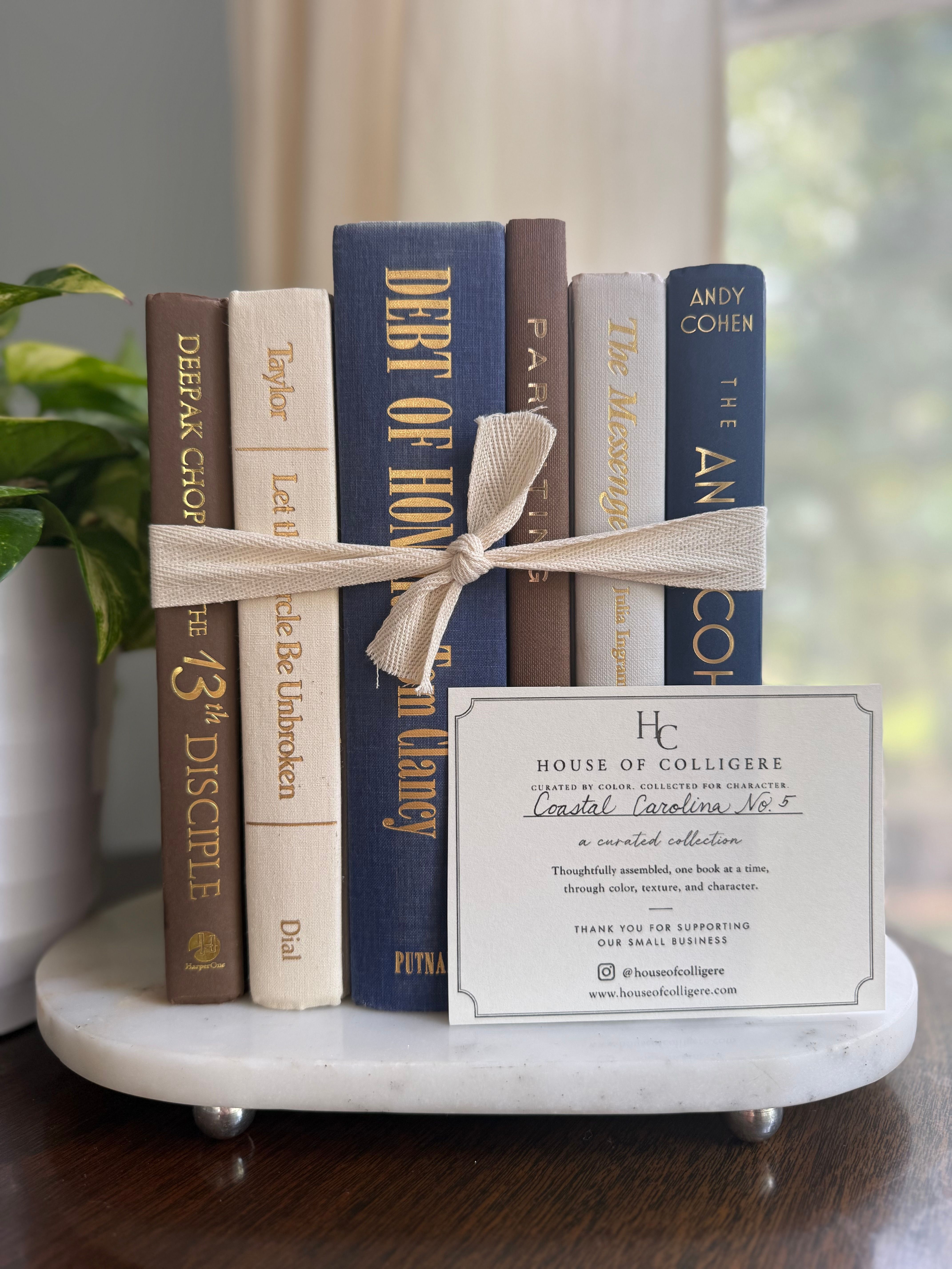 Curated collection of weathered blue, oyster, sand, linen, and driftwood-toned books with soft coastal character.