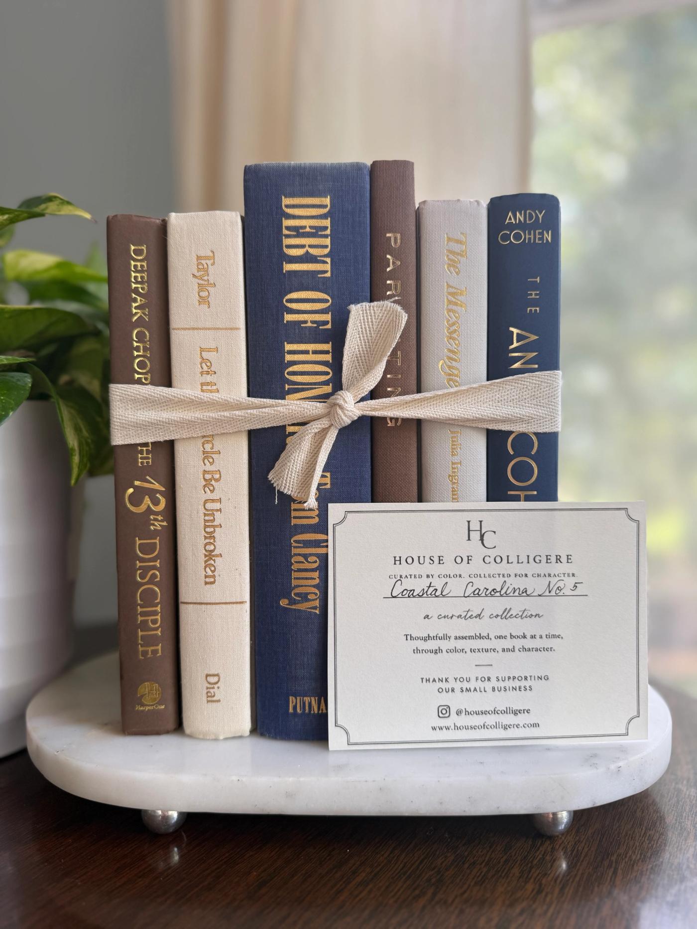 Curated collection of weathered blue, oyster, sand, linen, and driftwood-toned books with soft coastal character.