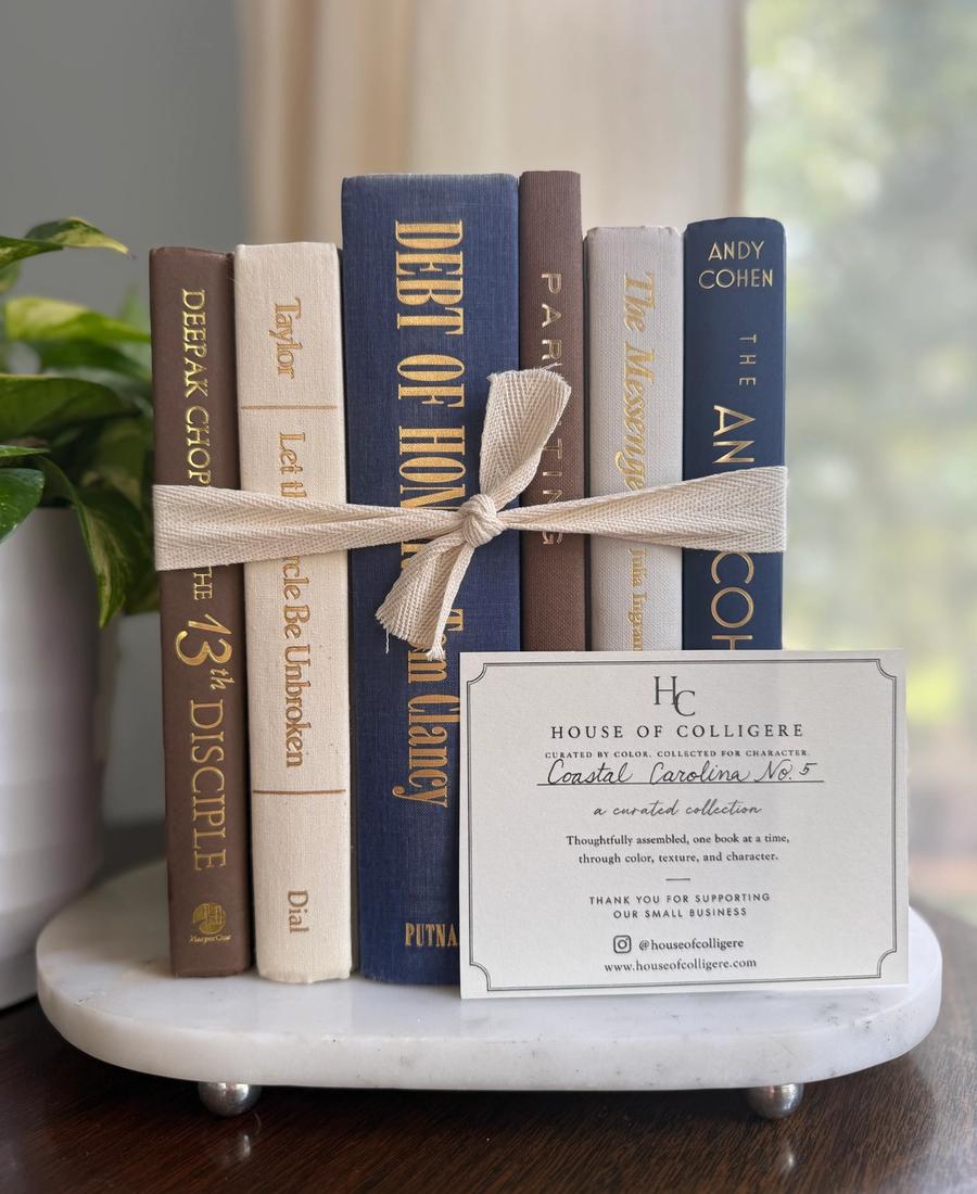 Curated collection of weathered blue, oyster, sand, linen, and driftwood-toned books with soft coastal character.