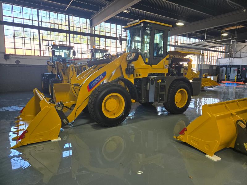 Damstrong wheel loader