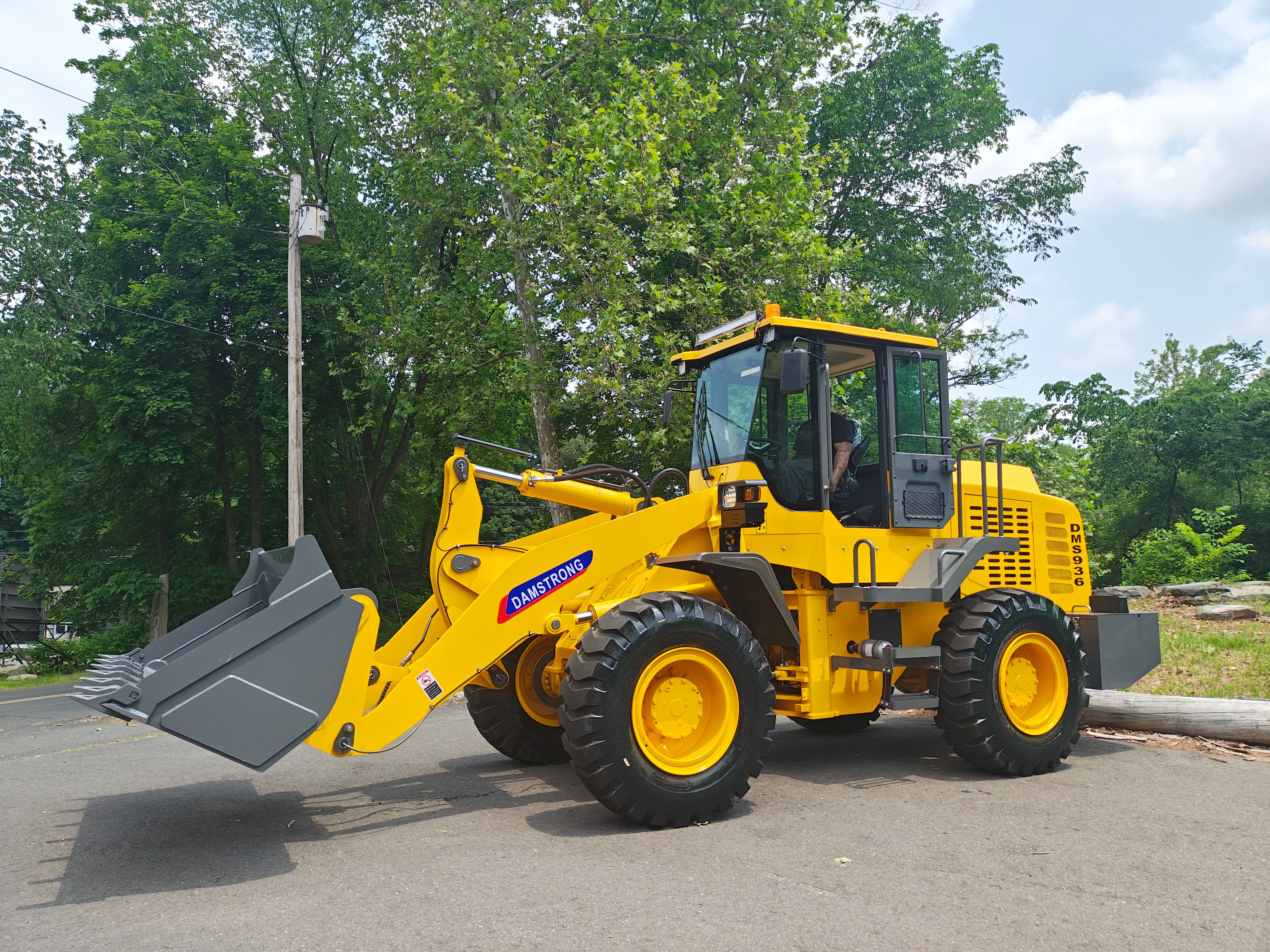 LTS 1090 Wheel Loader