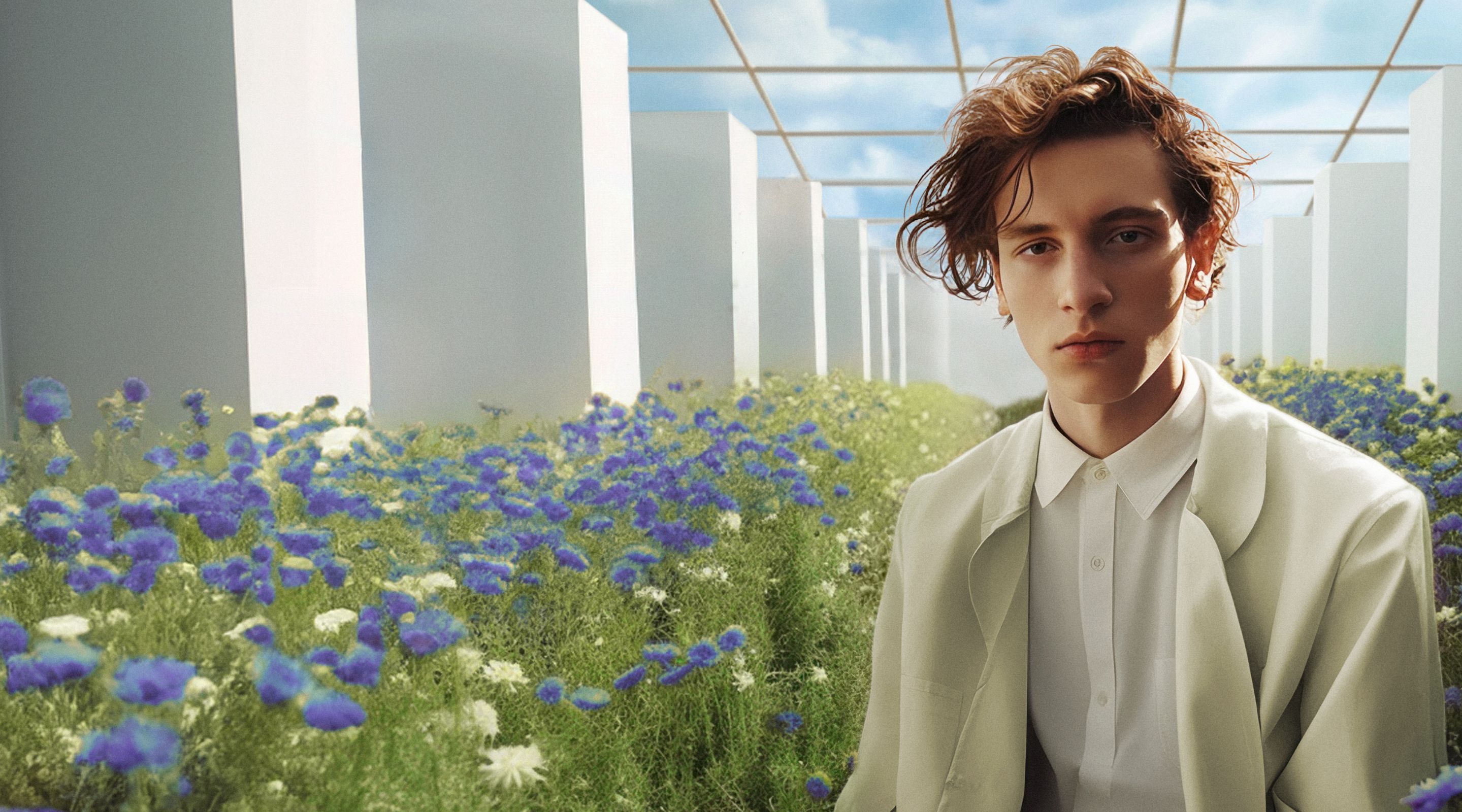 Software development