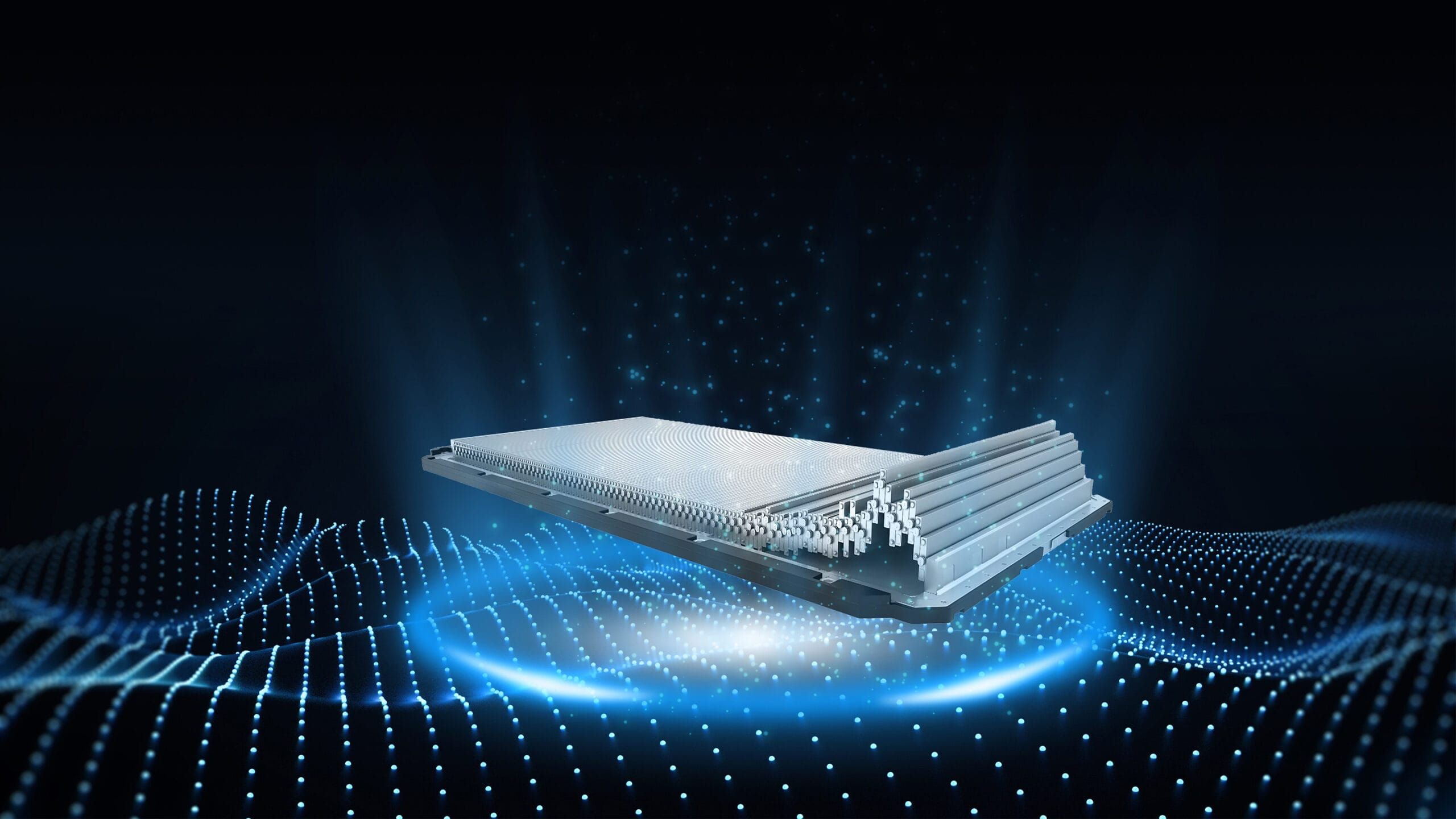 Blade Battery DENZA D9