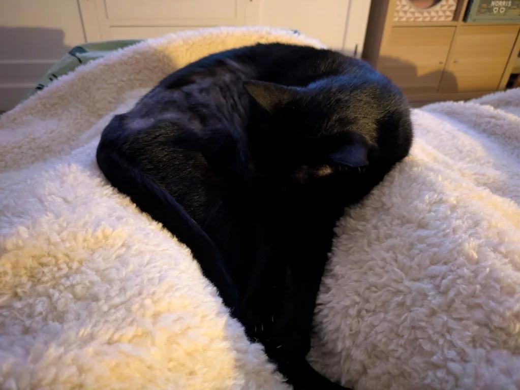 kat