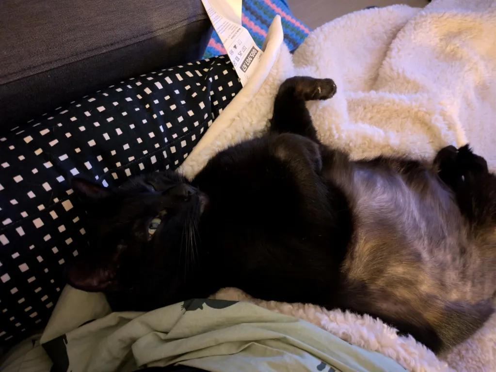 kat