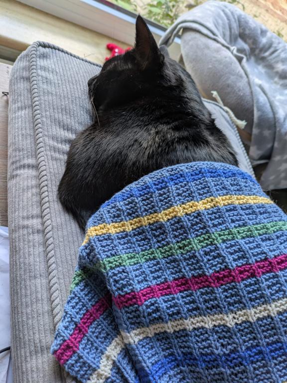kat