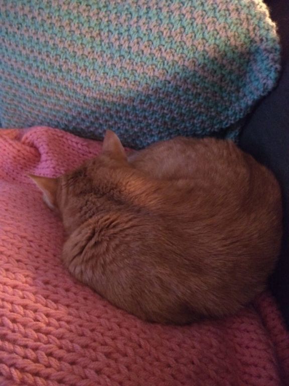 kat