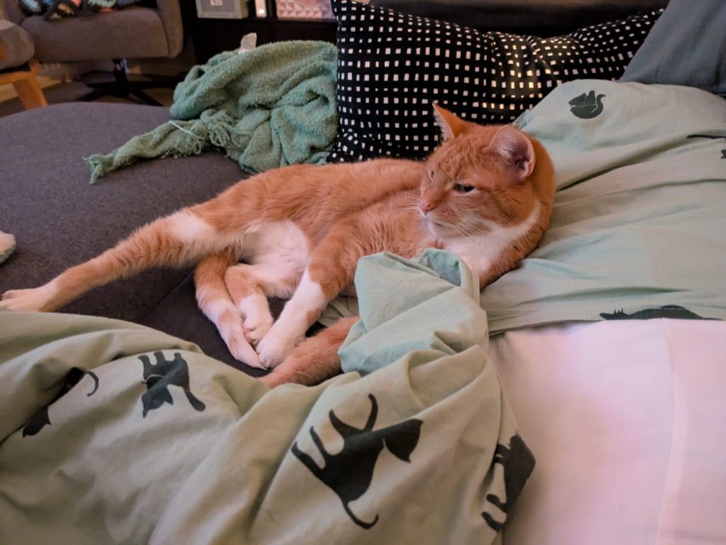 kat