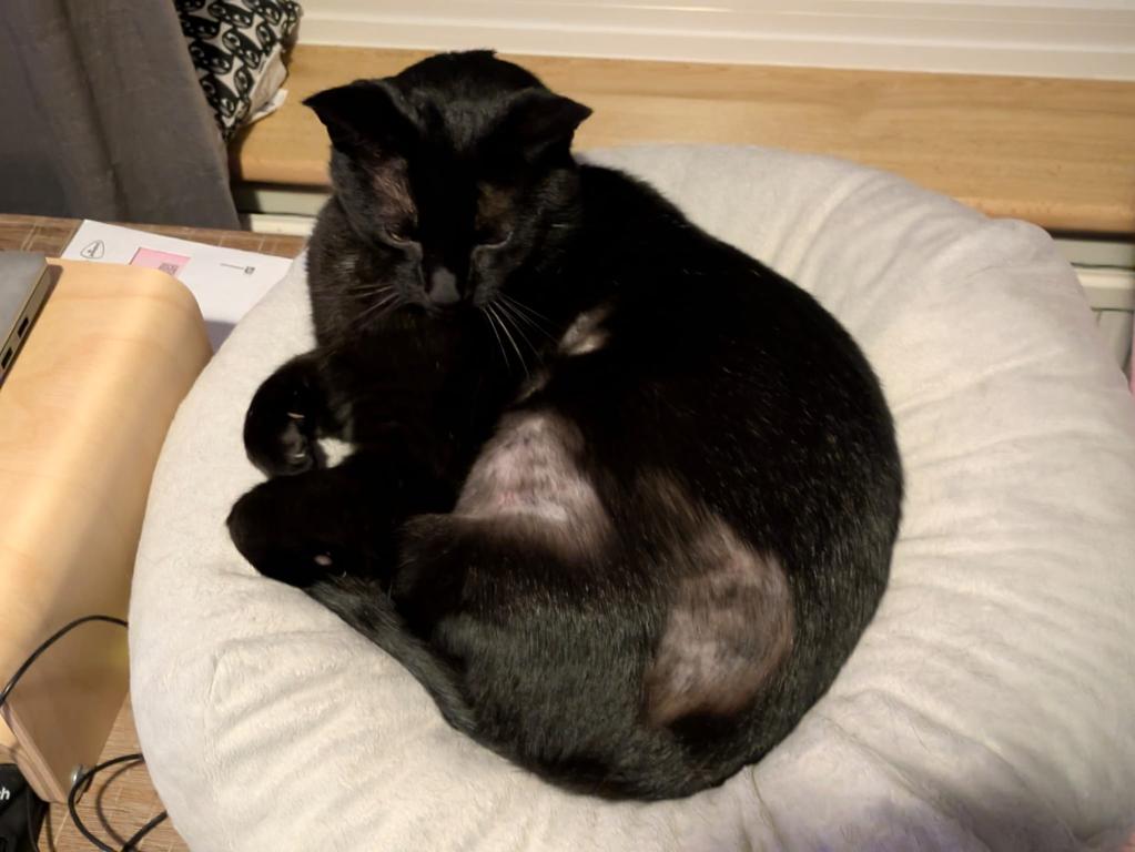 kat