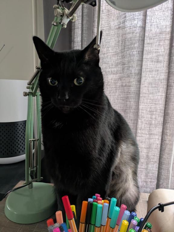 kat