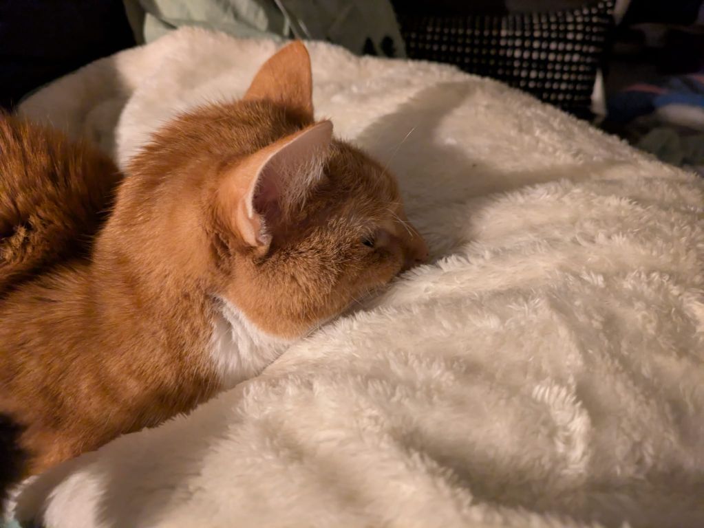 kat