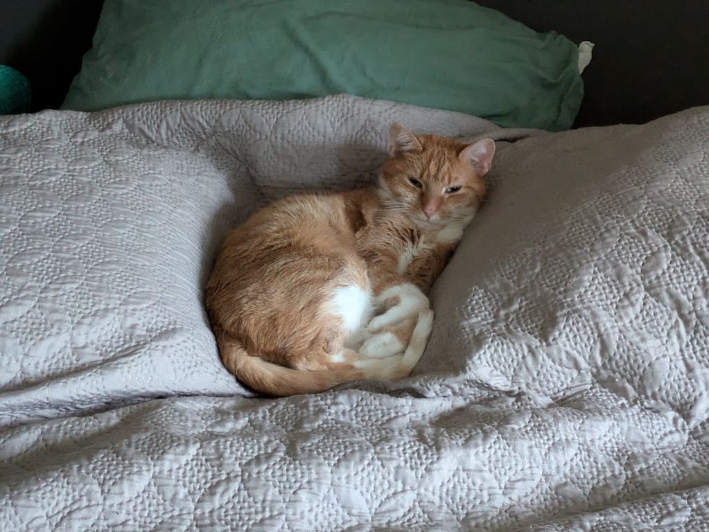 kat