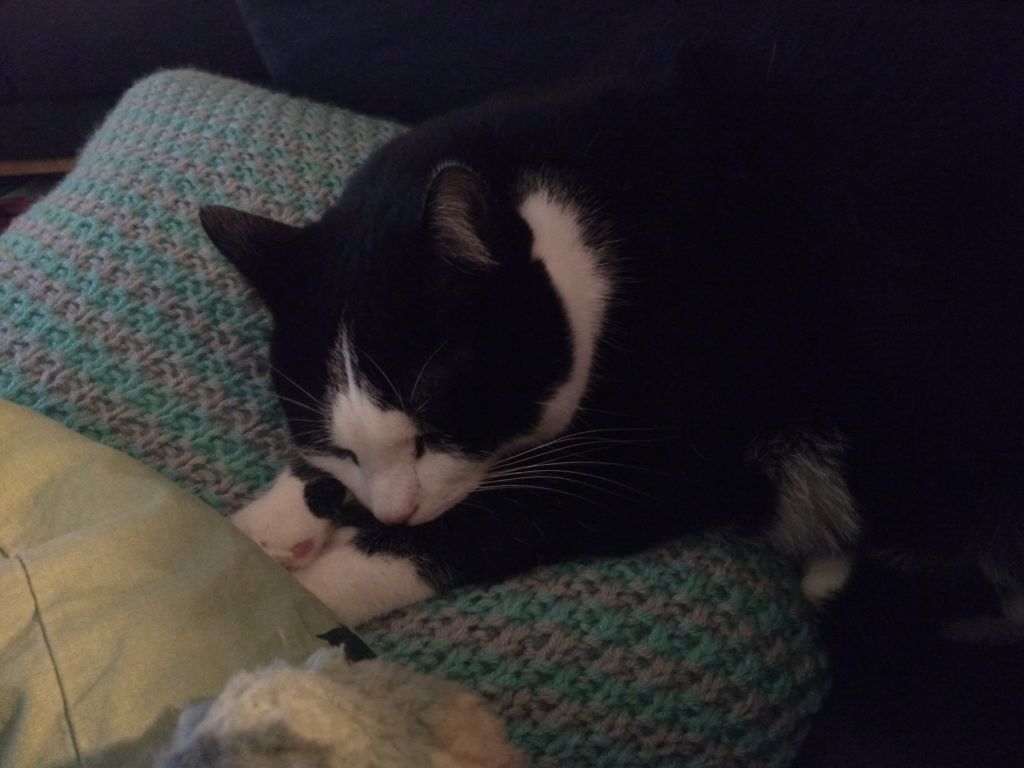 kat