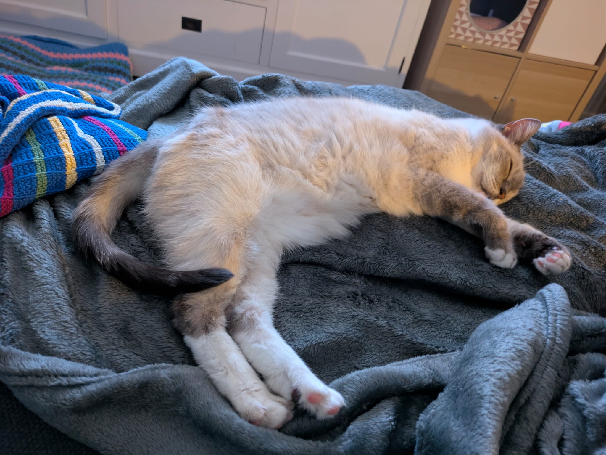 kat