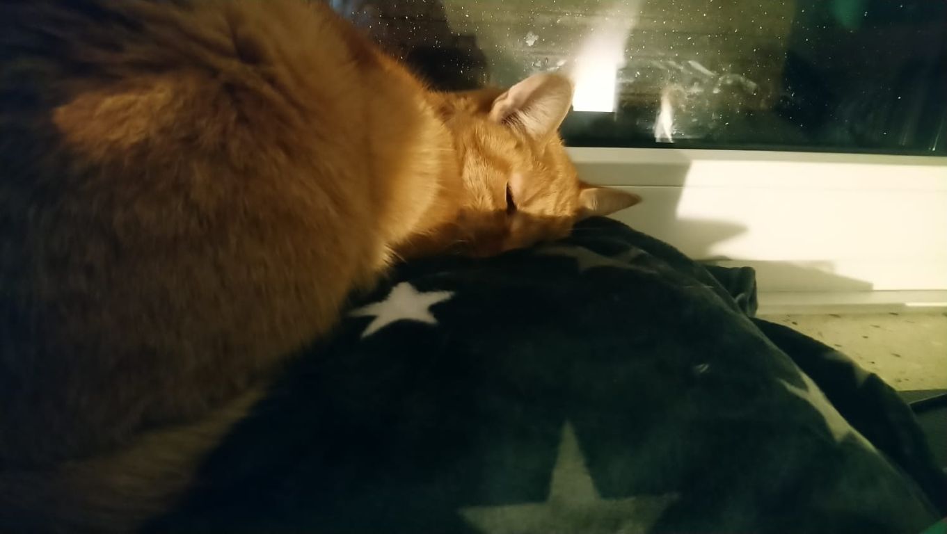 kat