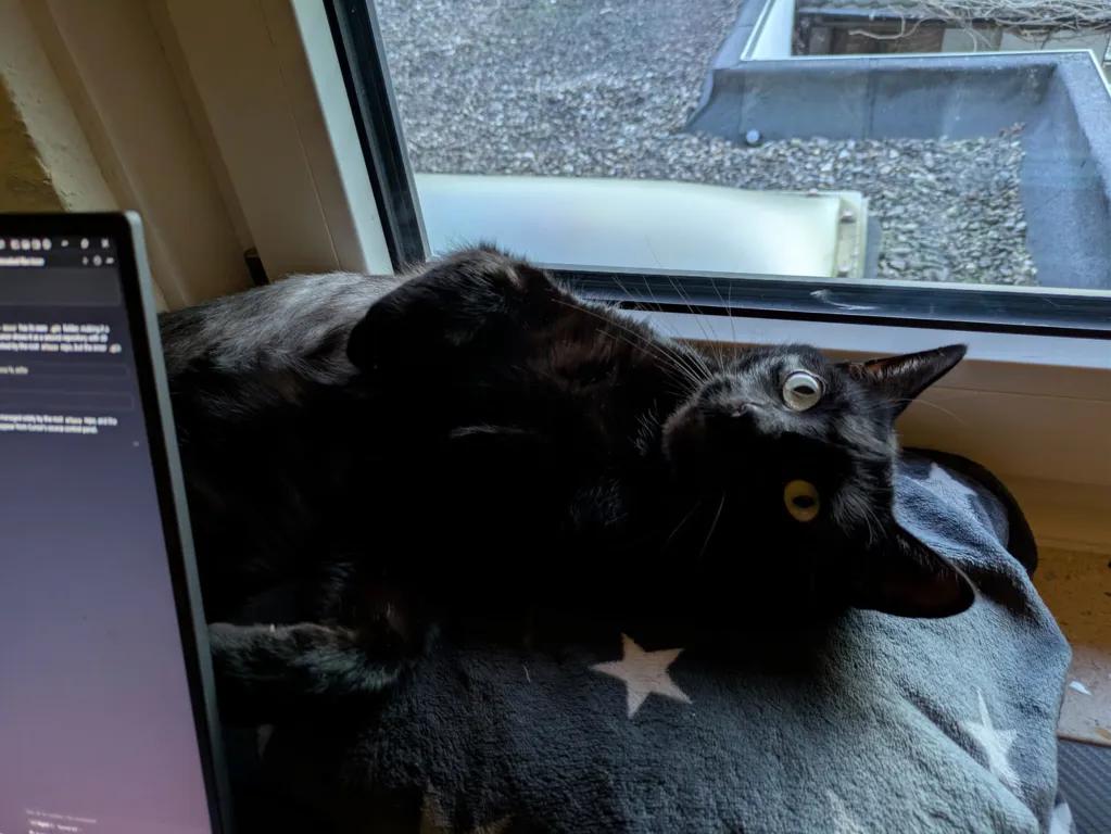 kat