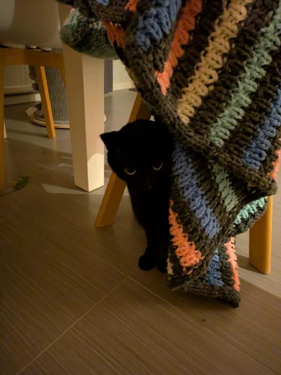 kat