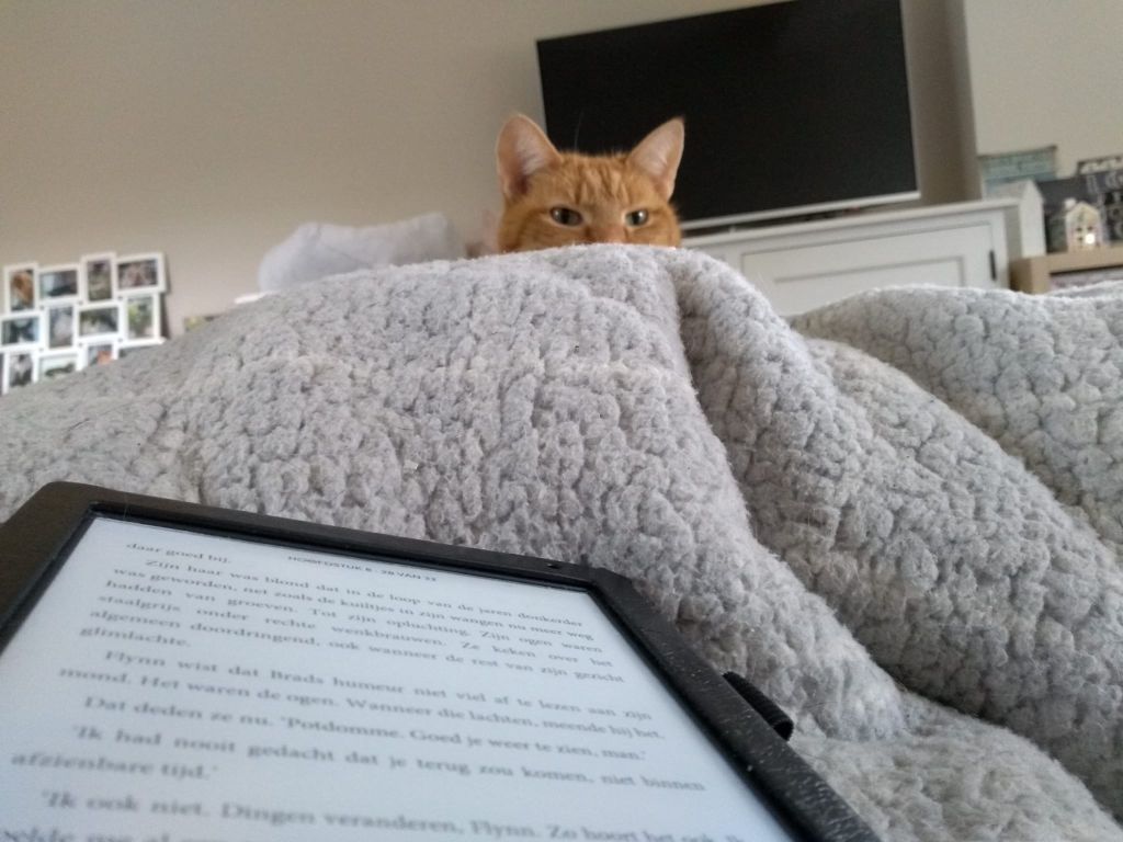 kat