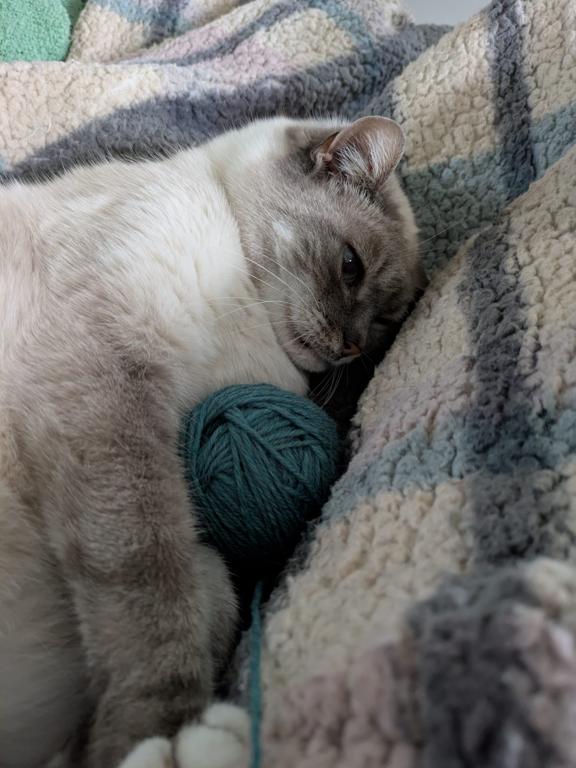 kat