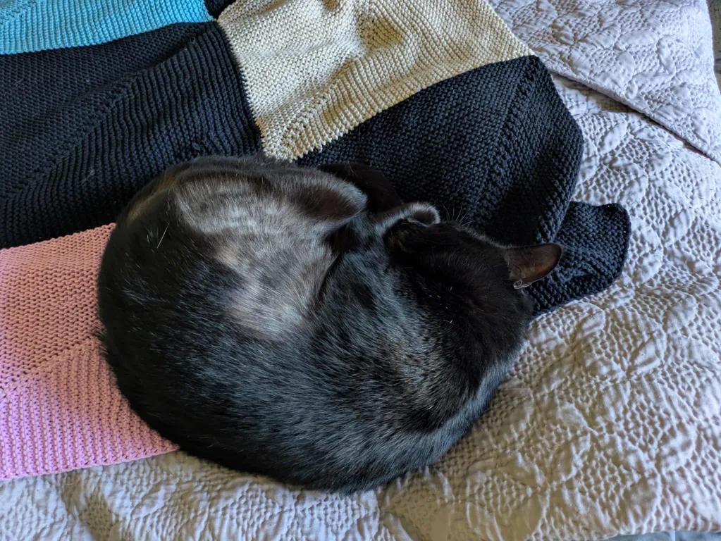 kat