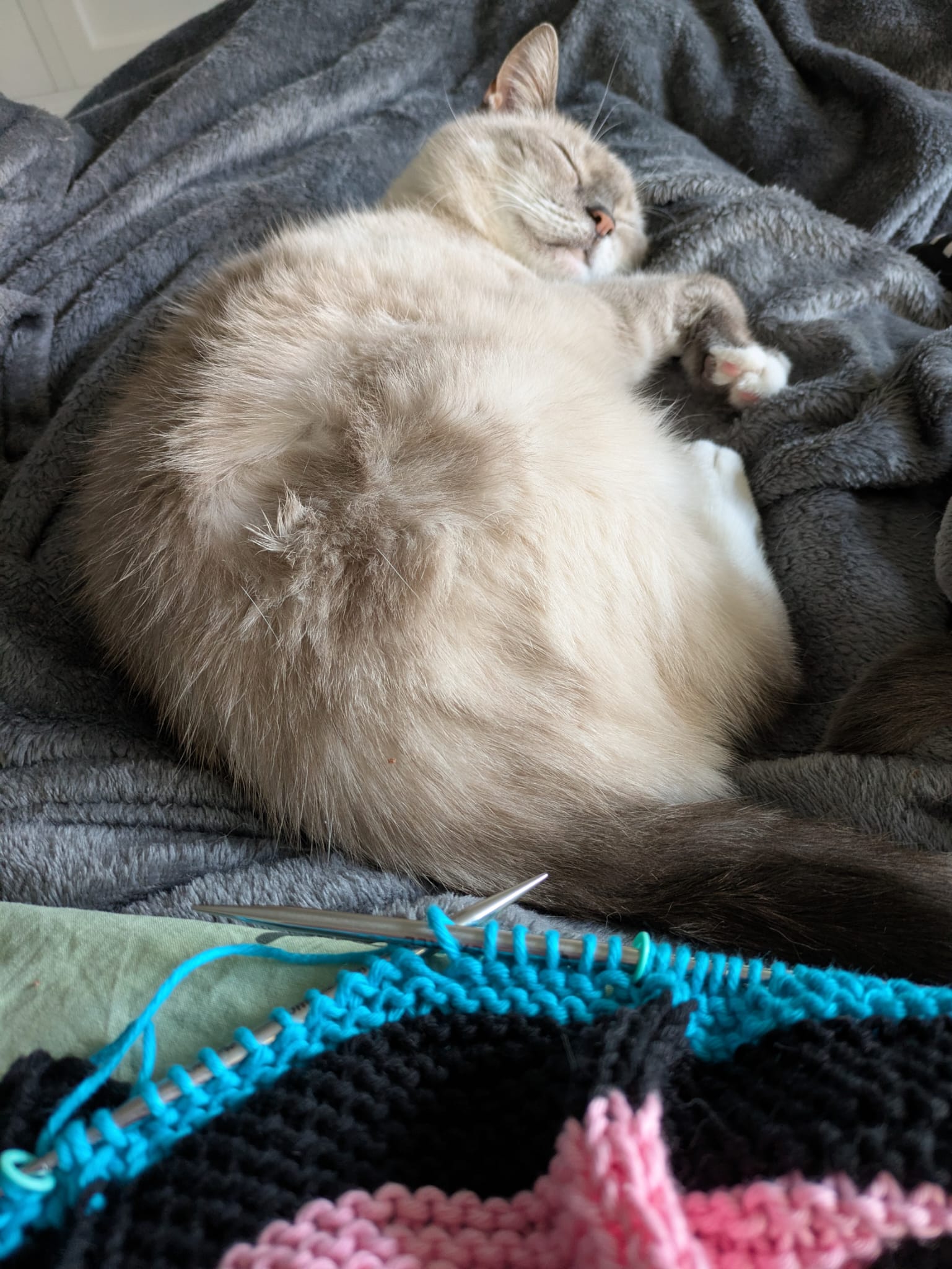 kat