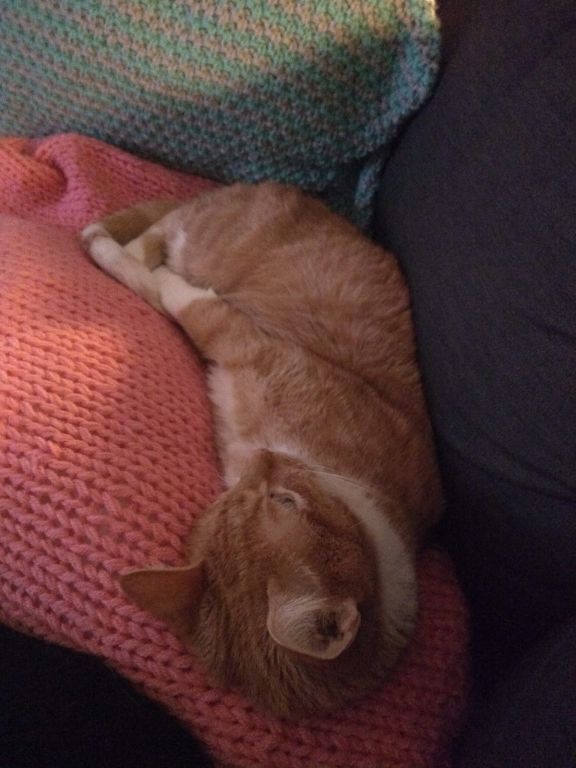 kat