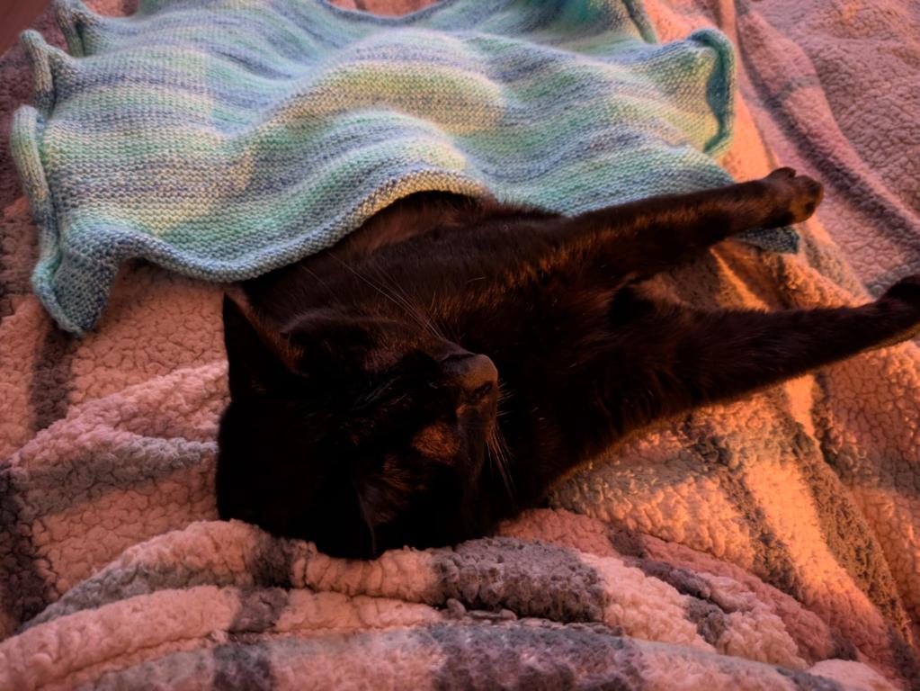 kat