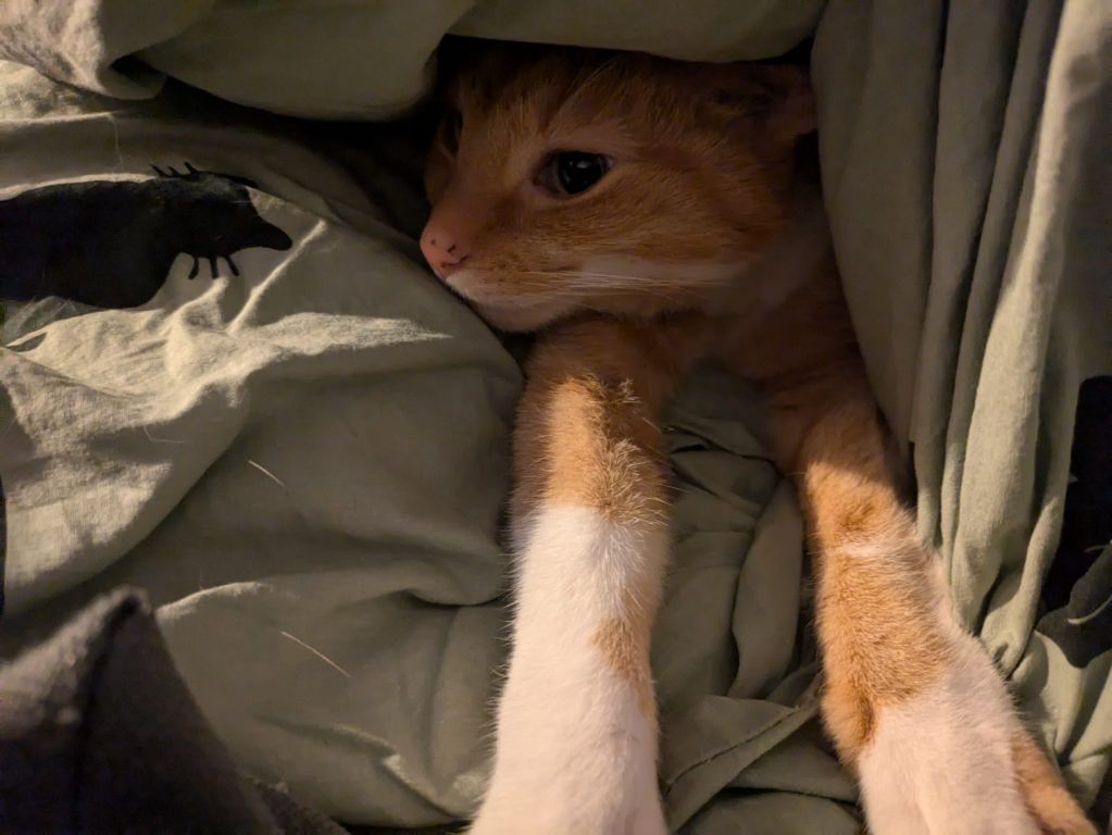 kat