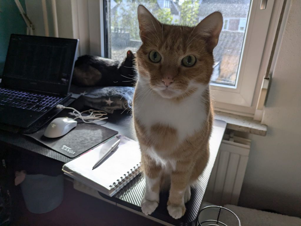 kat
