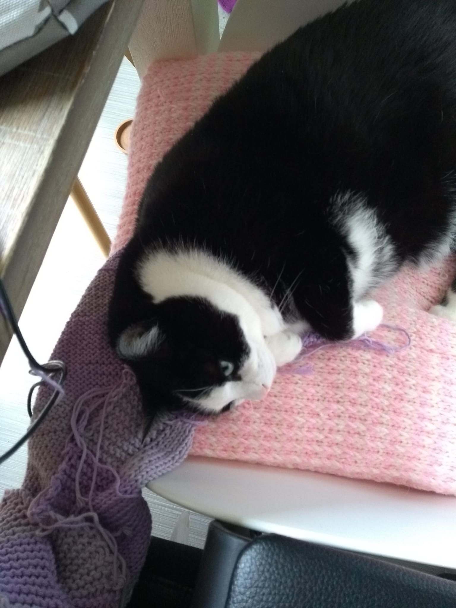 kat