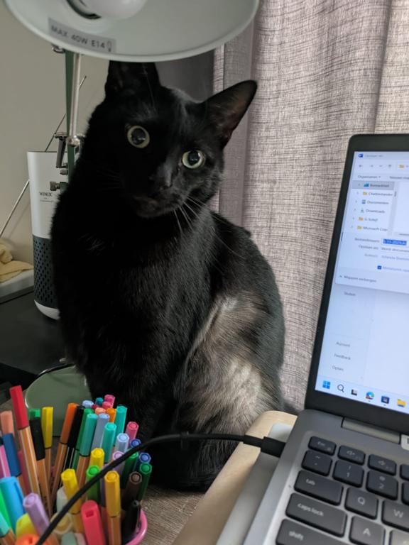 kat