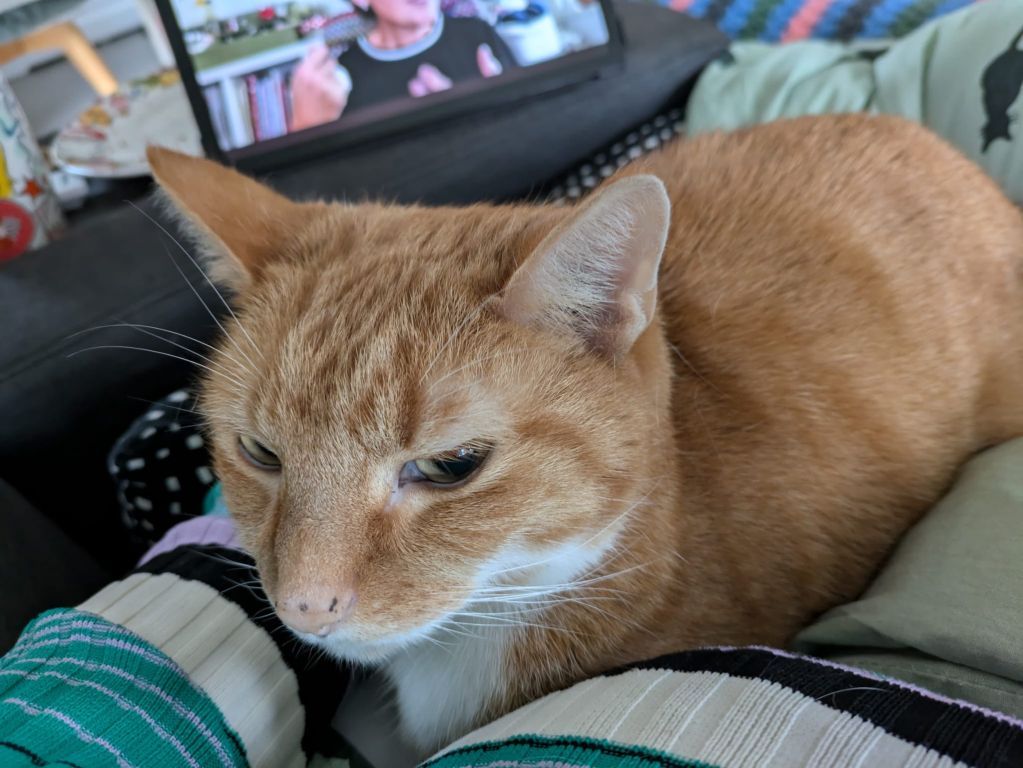 kat