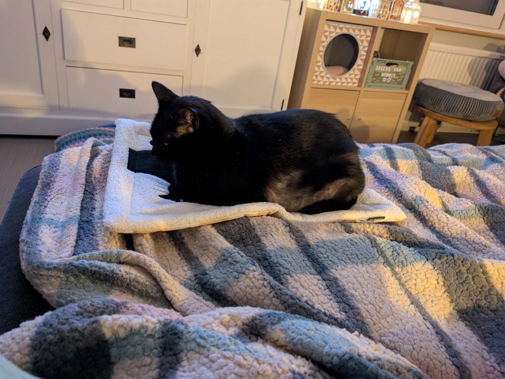 kat