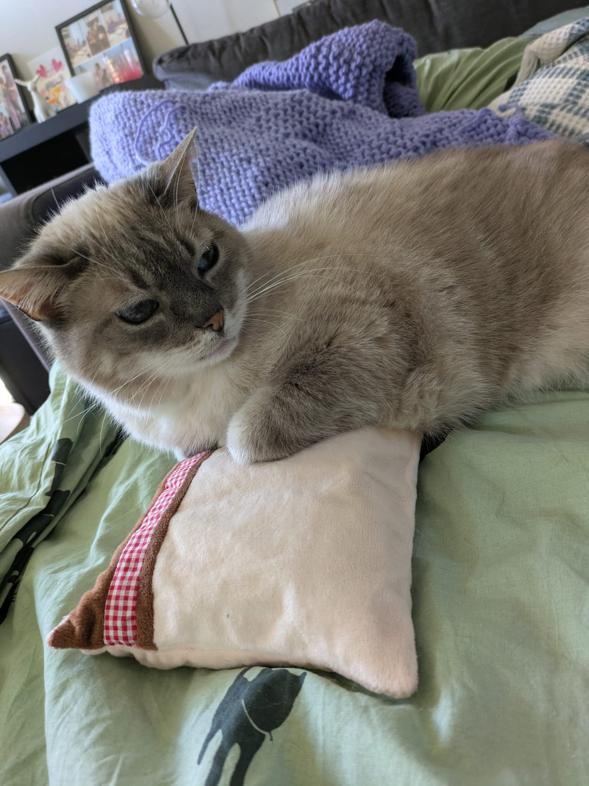 kat