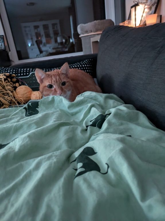 kat
