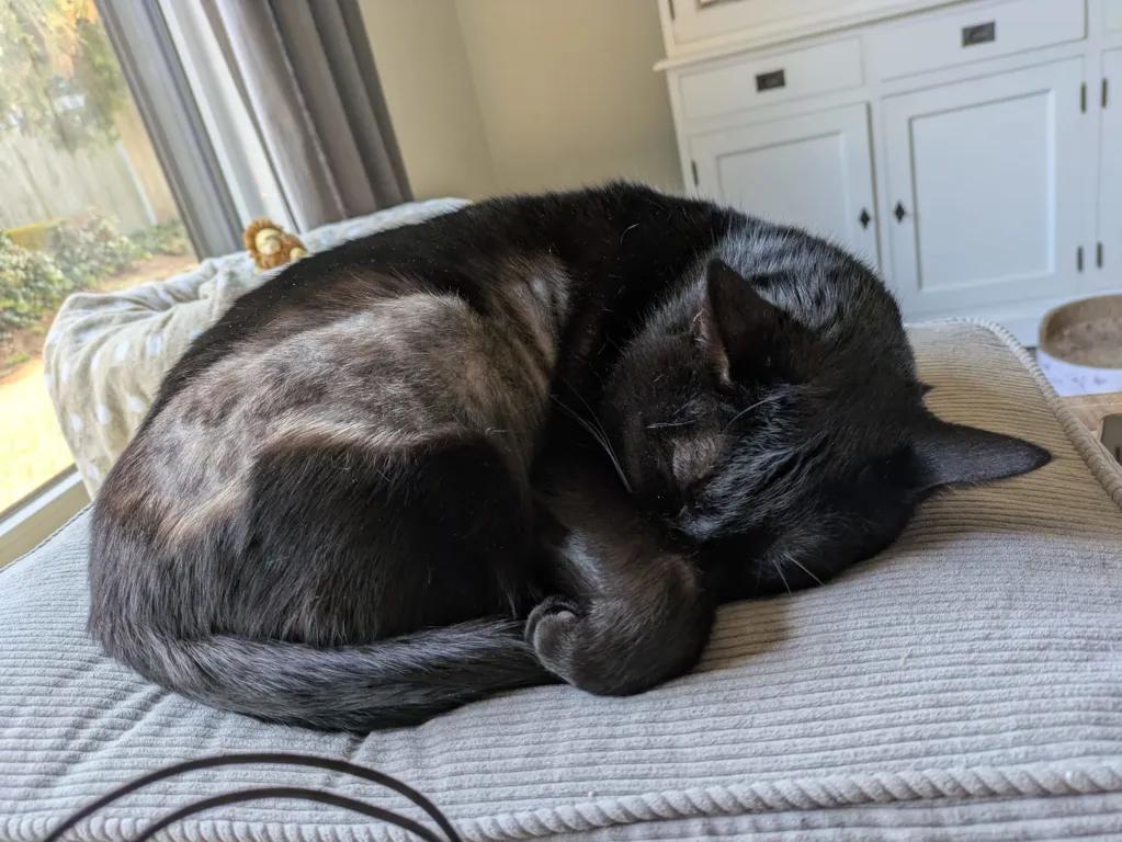 kat
