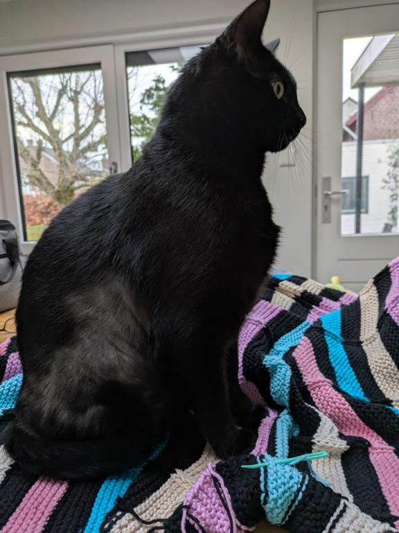 kat