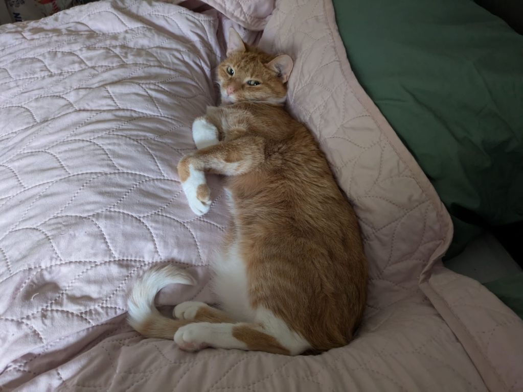 kat