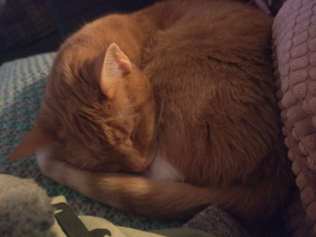 kat