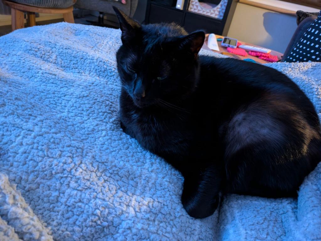 kat