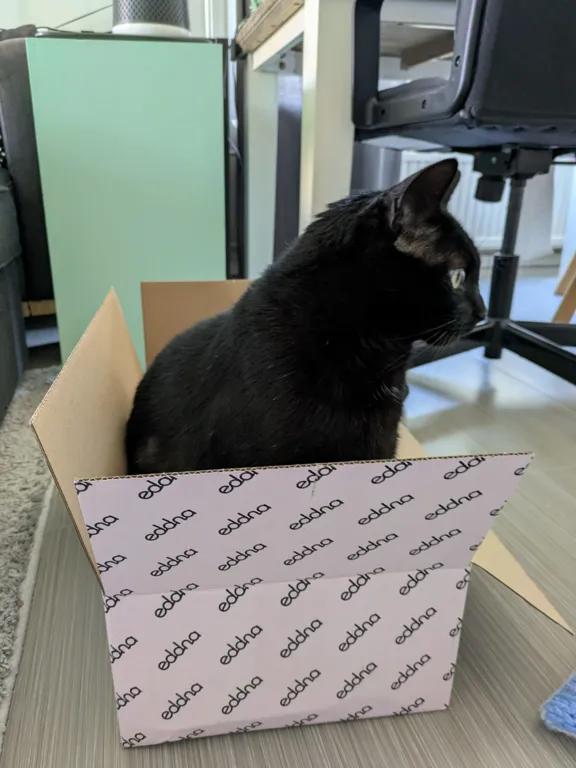 kat